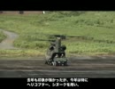 Fuji Live Fire Demonstration 2010