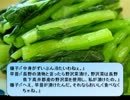 東方御当地　第6章その2