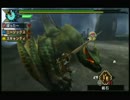 【気まぐれプレイ】MHP3ランスでナルガ亜種！