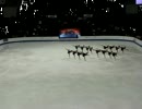 2010世界シンクロナイズドスケーティング選手権　ロシアチームFS(観客席)