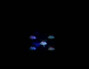 クリスマスなので加湿器をミニプロジェクターでライトアップしてみた２