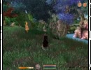 [実況] おぶおぶおぶおぶOblivion Part66