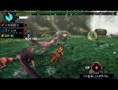 解せぬN00B達がやるMHP3　その16でござる[じっきょう♡]