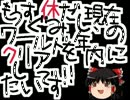 【ゆっくり実況】VIPマリオ３見てるだけじゃモノたりないのでプレイ part25
