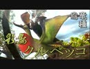 MHP3rd【ゆっくり実況】しようZE　2狩目