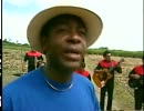 Los Nemus - Lindas y Bellas