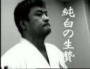 ＰＲＩＤＥ GRANPRIX 2003 FINAL　地上波オープニング