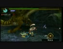 【MHP3】リオレイア希少種 ハンマーソロ 【９’５１】