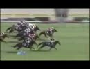 【競馬】2010年GⅠレース振り返り（上半期）