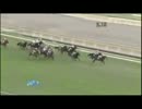 【競馬】2010年GⅠレース振り返り（下半期）