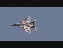 2010 新田原基地 航空祭 前日予行