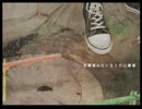 Raindrops　歌ってみた