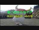 【車載動画】国道19号・夜(9)