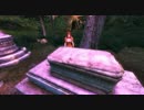【Oblivion】 mageplay part14 魔術師の杖