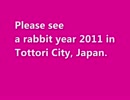 Please see a rabbit year 2011 in Tottori City, Japan