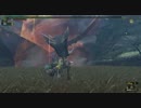 【MHF】上翼救済剛テオ　HCで行ってみた