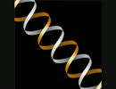 【DTM】 PULSE FICTION