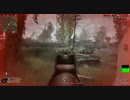 【CoD4:PC】凸厨が逝くドミネ