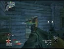 【COD:BO】猪突猛進による朦朧実況20【FN FAL】