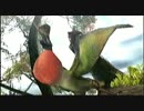 【実況】一生懸命MHP3rdをやってみるよ【四ノ巻】