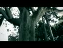 D 桜花咲き染めにけり PV
