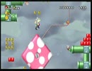NewスーパーマリオブラザーズWii 実況ぷれい　～俺がNo.１だ！～　PART10