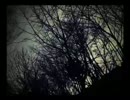 Vashti Bunyan - Some Things Just Stick In Your Mind