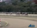 【競馬】12月30日(木)　荒尾競馬メインレース　荒尾なんさま速かＳＰ
