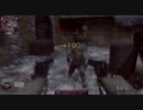 【CoD:BO】むぅびんぐきゃんぱーpart04【TDM】