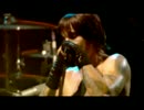 【高画質】Red Hot Chili Peppers - Can't Stop  [Live] 