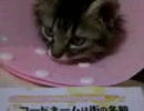直太朗がやってきた！part20