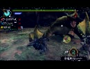 解せぬN00B達がやるMHP3　その21でござる[じっきょう♡]