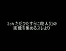 2ch　笑える殺人犯の画像集
