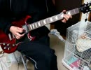 陰陽座「覇道忍法帖」をギターで弾いてみた