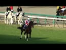 客席目線の有馬記念 2010.12.26