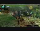 mhp3rd へたくそがナルガクルガを狩に行ってみたら. . .