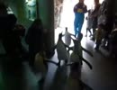 オウサマペンギン散歩2010 島根アクアス