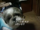 【明けました】ROAD TO 埼玉実家【おめでとう】