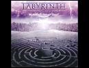 Labyrinth － A Chance