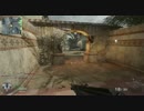 【PC版CoD:BO】みるくのチームデスマッチ　１７発　ＡＫ７４ｕ