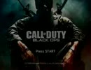 CoD　やります　その１