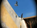 skate3 replay