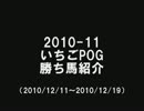 チーム一期一会 2010-11いちごPOG 勝ち馬紹介(10/12/11～10/12/19)
