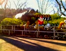 ニコ生「宇都宮動物園取材」①スタート，オオカミ，ライオン，ペンギン