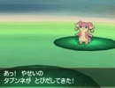 ポケモンBWのずかんを完成させる！★実況プレイ Part4