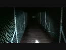 【心霊スポット】埼玉県 秩父湖 つり橋 その2