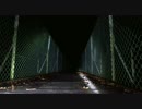 【心霊スポット】埼玉県 秩父湖 つり橋 その3
