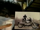 　【 藻煮たの日常 116 】　原付からハーレーまでのバイク人生を語るよ！