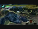【MHP3】村☆５「漆黒の影」でこっそり爆弾を置いてみた