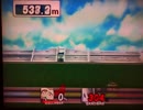 スマブラX　ホームランコンテスト　アイスクライマー(1316.3m)